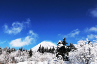 富士山こどもの国